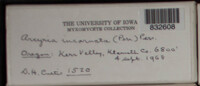 Image Associated With the Occurence